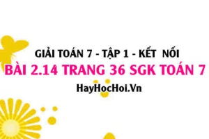 Giải bài 2.14 trang 36 Toán 7 Tập 1 SGK Kết nối tri thức